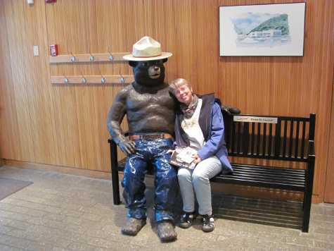 Bear